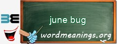WordMeaning blackboard for june bug
